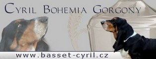 Cyril Bohemia Gorgony, Navaro Lady Barnett's