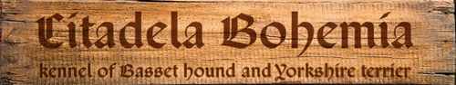 Citadela Bohemia