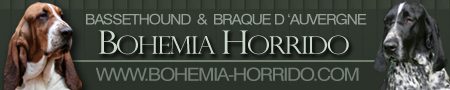 Bohemia Horrido