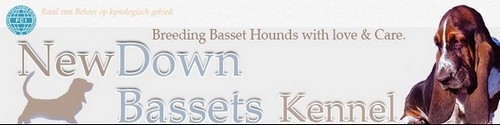New Down Bassets