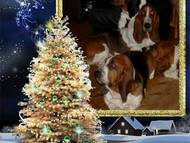 Mery Christmas