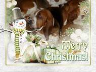 Mery Christmas