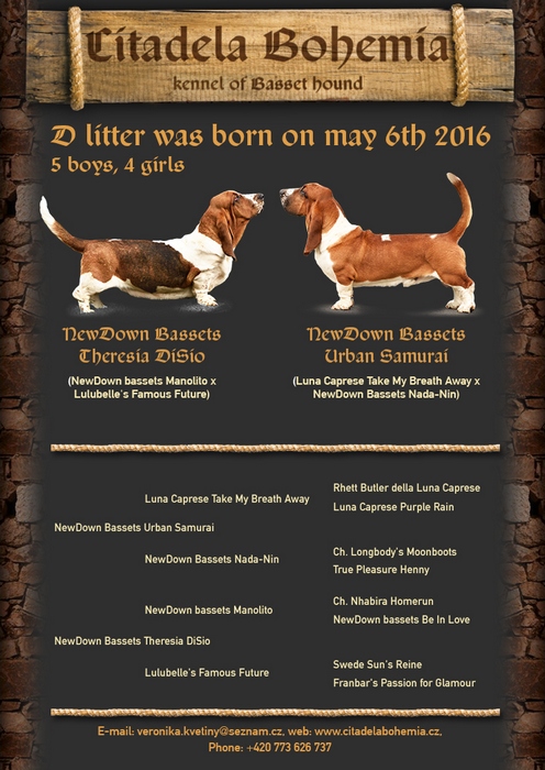 Vrh D / Litter D
