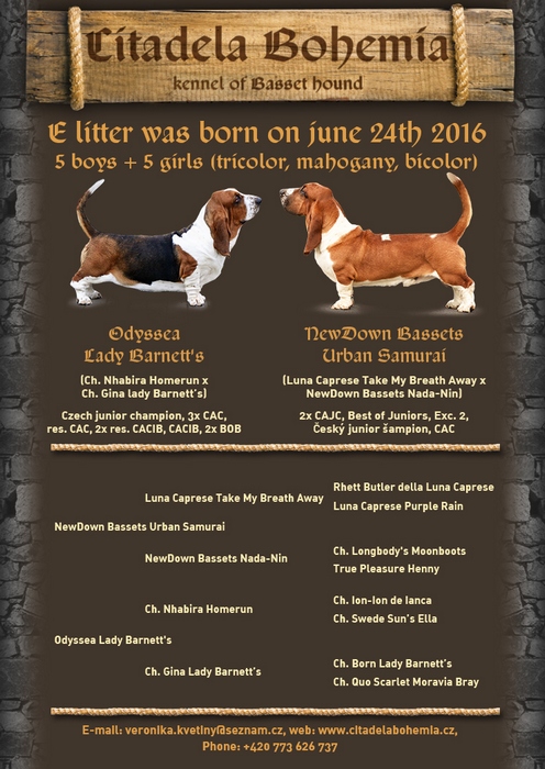 Vrh E / Litter E