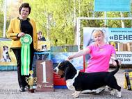 Apetit Citadela Bohemia - excellent 1, CAC, BOB, BIG 1, Best in show!