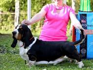 Apetit Citadela Bohemia - excellent 1, CAC, BOB, BIG 1, Best in show!