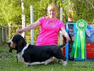 Apetit Citadela Bohemia - excellent 1, CAC, BOB, BIG 1, Best in show!