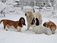 Winter is coming