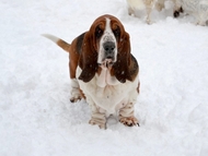 Winter is coming